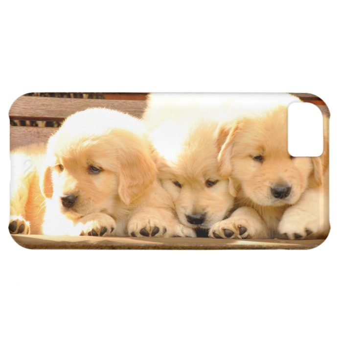 3 Puppies iPhone 5 Case