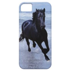 A horse wild and free iPhone SE/5/5s case