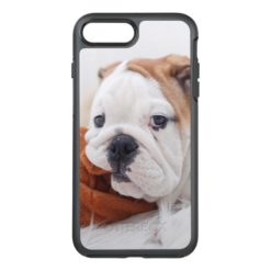 An English Bulldog Puppy Playing With A Bulldog OtterBox Symmetry iPhone 7 Plus Case