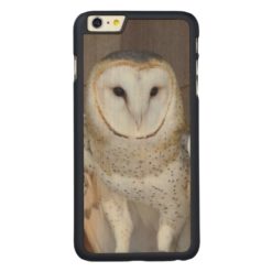 Barn Owl Photo Carved Maple iPhone 6 Plus Slim Case