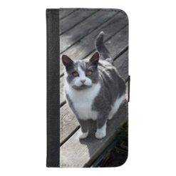 Black and Gray Cat on an Iphone 6/ 6s Wallet Case