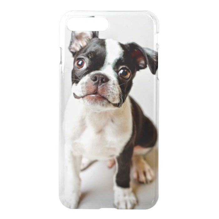 Boston Terrier dog puppy. iPhone 7 Plus Case