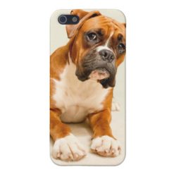 Boxer puppy on ivory cream backdrop. iPhone SE/5/5s cover