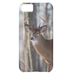 Buck Whitetail Deer Cover For iPhone 5C