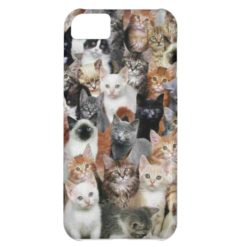 Cats Case For iPhone 5C