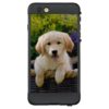 Charming Goldie Retriever Dog Puppy -_ waterproof LifeProoiPhone 6 Plus Case