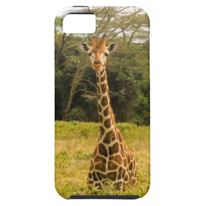 Curious Giraffe iPhone SE/5/5s Case