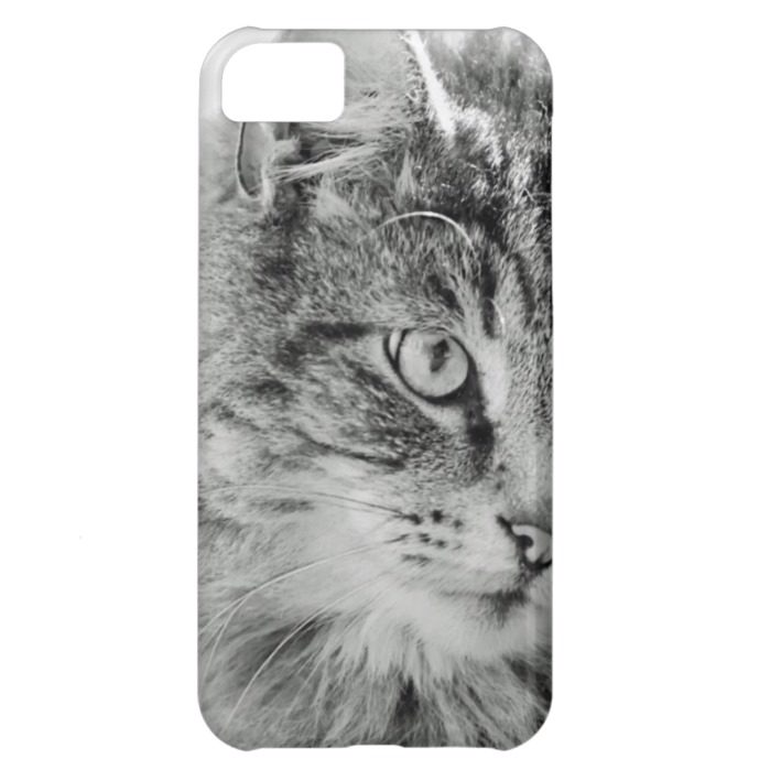 Cute Fluffy Cat Face Cover For iPhone 5C