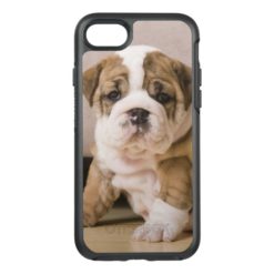English bulldog puppies OtterBox symmetry iPhone 7 case