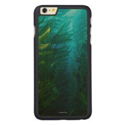 Finding Dory | Hide and Seek - Sea Kelp Carved Maple iPhone 6 Plus Case