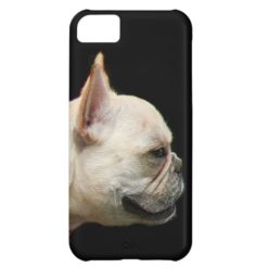 French bulldog case for iPhone 5C