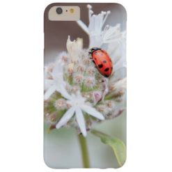 Ladybug on Silverleaf Phacelia Flowers Phone Case