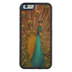 Majestic Peacock Bird on Display Carved Cherry iPhone 6 Bumper
