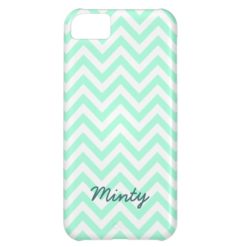 Minty green chevron pattern iPhone 5C case