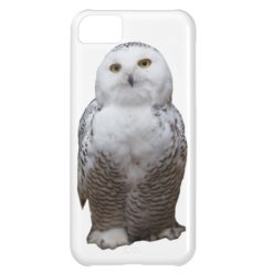 Owl iPhone 5C Case