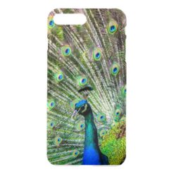 Peacock Iphone case