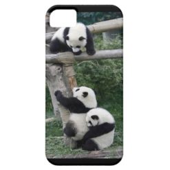 Playing Pandas iPhone5/5s Case