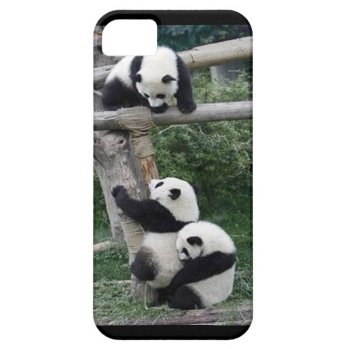 Playing Pandas iPhone5/5s Case