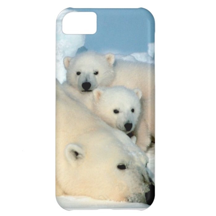 Polar bear cub 1 iPhone 5C case