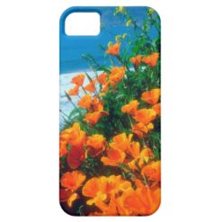 Poppies along the Pacific Coast near Big Sur iPhone SE/5/5s Case