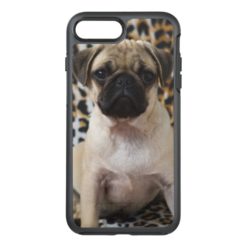 Pug puppy sitting against animal print OtterBox symmetry iPhone 7 plus case