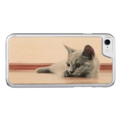 Scottish Fold Cat Kitten Super Cute Carved iPhone 7 Case