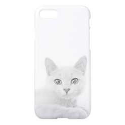 Scottish Fold Kitten Cat Super Cute iPhone 7 Case