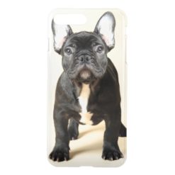 Studio portrait of French bulldog puppy standing iPhone 7 Plus Case