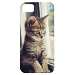 Tabby Kitten Watching Out Window iPhone SE/5/5s Case