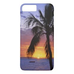 Tropical Sunset with Palm Tree iPhone 7 Plus Case