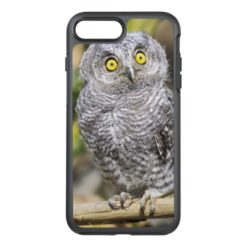 Two-Week Old Baby Screetch-Owl OtterBox Symmetry iPhone 7 Plus Case