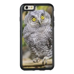 Two-Week Old Baby Screetch-Owl OtterBox iPhone 6/6s Plus Case