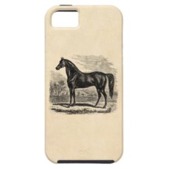 Vintage 1800s Horse - Morgan Equestrian Template iPhone SE/5/5s Case