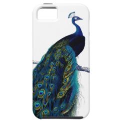 Vintage Blue Elegant Colorful Peacock iPhone SE/5/5s Case