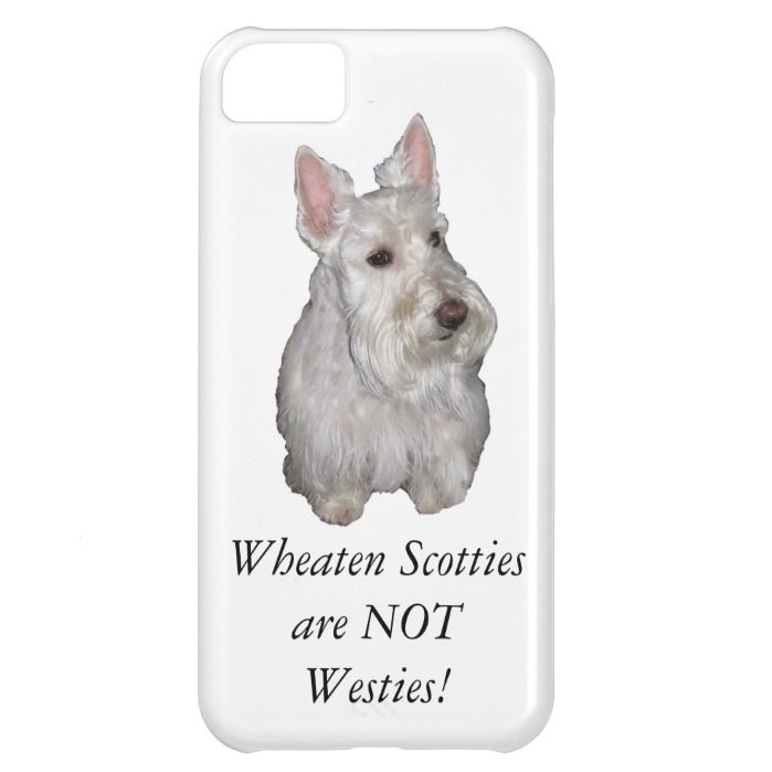 Wheaten Scotties are NOT Westies! iPhone 5C Cover