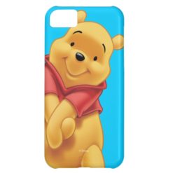 Winnie the Pooh 13 Case For iPhone 5C