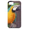 Yellow & blue macaw bird iPhone SE/5/5s case