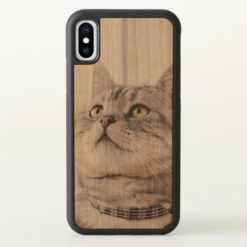 American shorthair cat iPhone x Case