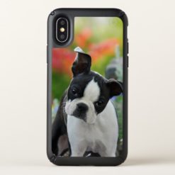 Boston Terrier Dog Cute Puppy Animal Head Photo -- Speck iPhone X Case