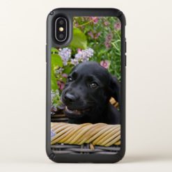 Cute Black Labrador Retriever Dog Puppy Pet Photo Speck iPhone X Case