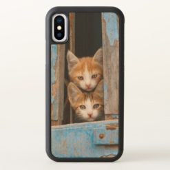 Cute Cat Kittens in a Blue Vintage Window Photo -" iPhone X Case