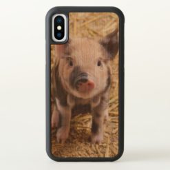 Cute Piglet iphone x Case