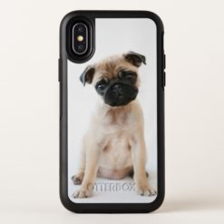 Cute Young Pug Dog OtterBox Symmetry iPhone X Case