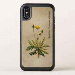 Dandelion On Old Paper Speck iPhone X Case