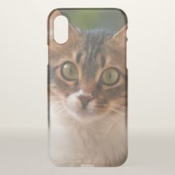 Fluffy Kitten with Green Eyes iPhone X Case