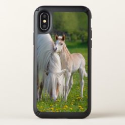 Haflinger Horses Cute Baby Foal With Mum Photo - Speck iPhone X Case
