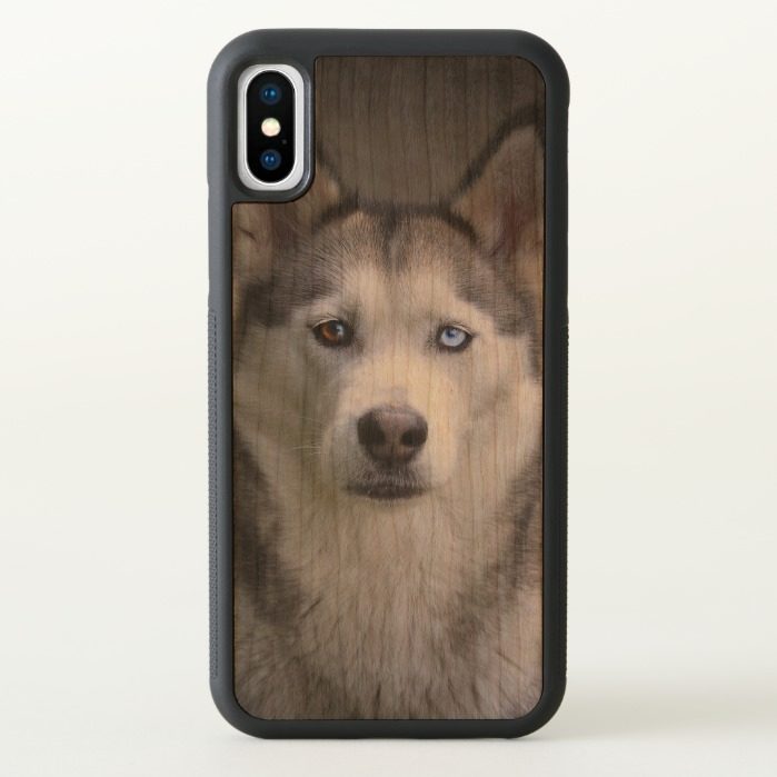 Husky portrait iPhone x Case