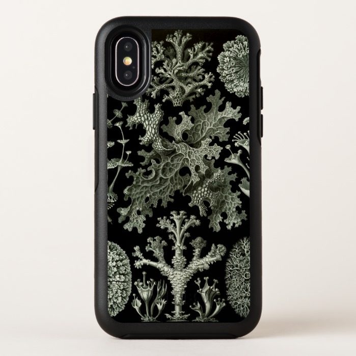 Lichen by Ernst Haeckel