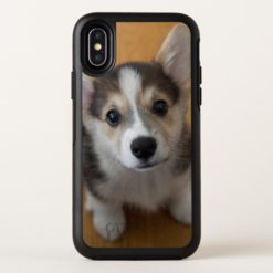 Pembroke Welsh Corgi Puppy 3 OtterBox Symmetry iPhone X Case