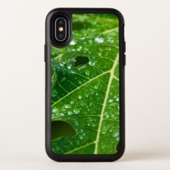 Rain Drops on Tropical Green Papaya Leaf OtterBox Symmetry iPhone X Case